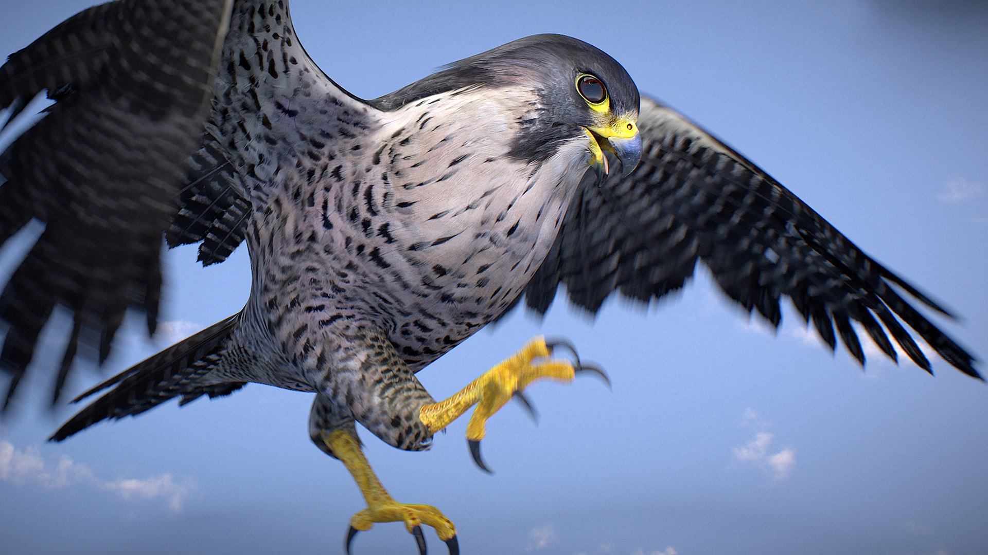 Falcon Animated 3D model https://p.turbosquid.com/ts-thumb/oH/blYS13/kH/falcon_23/jpg/1789377765/1920x1080/fit_q87/62a039cd6d064c43edba1479532037156f2e1446/falcon_23.jpg