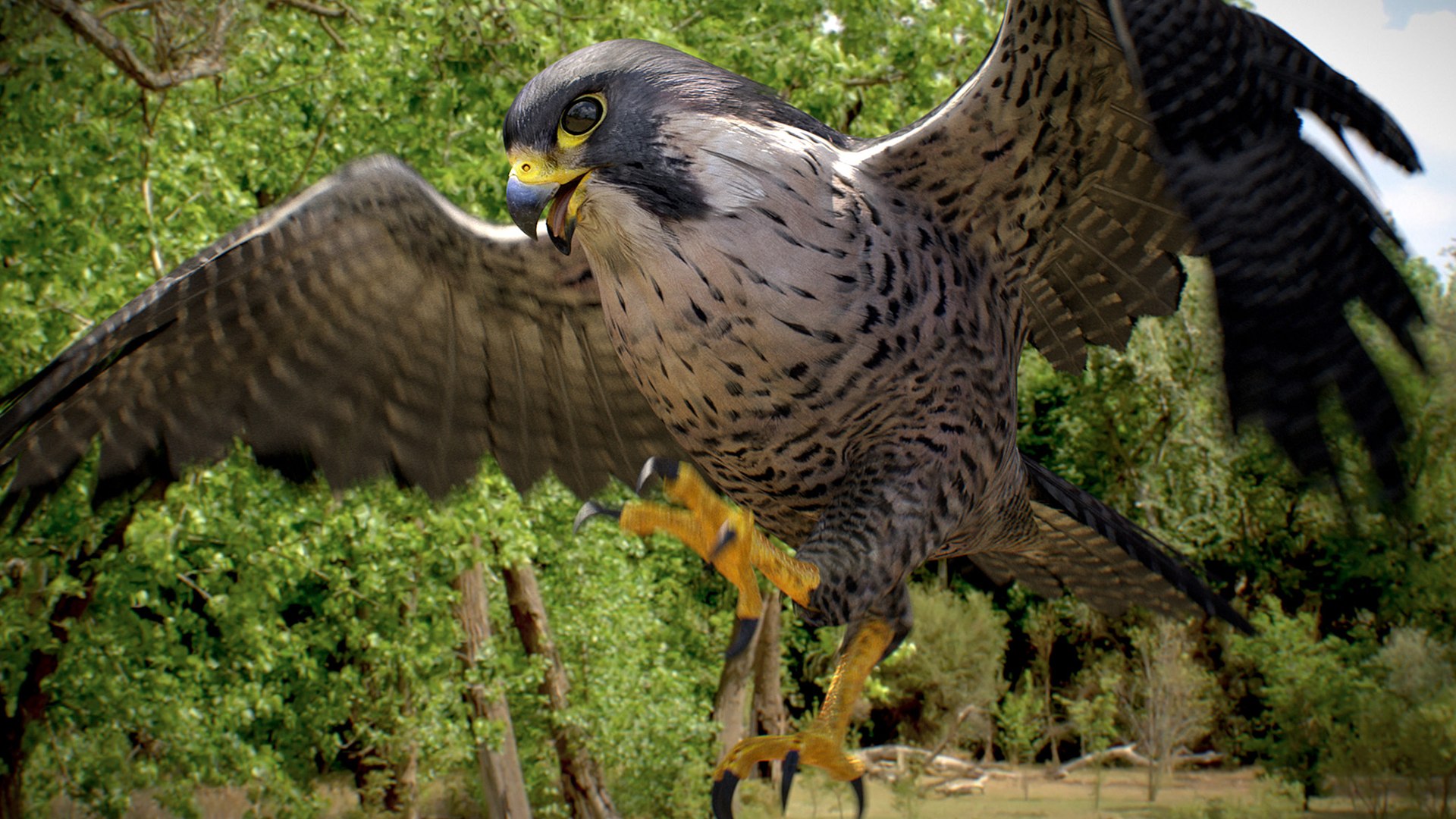 Falcon Animated 3D model https://p.turbosquid.com/ts-thumb/oH/blYS13/r3/falcon_04/jpg/1789377755/1920x1080/fit_q87/0e27b663c2f980e8ec260489211e6b254d090852/falcon_04.jpg