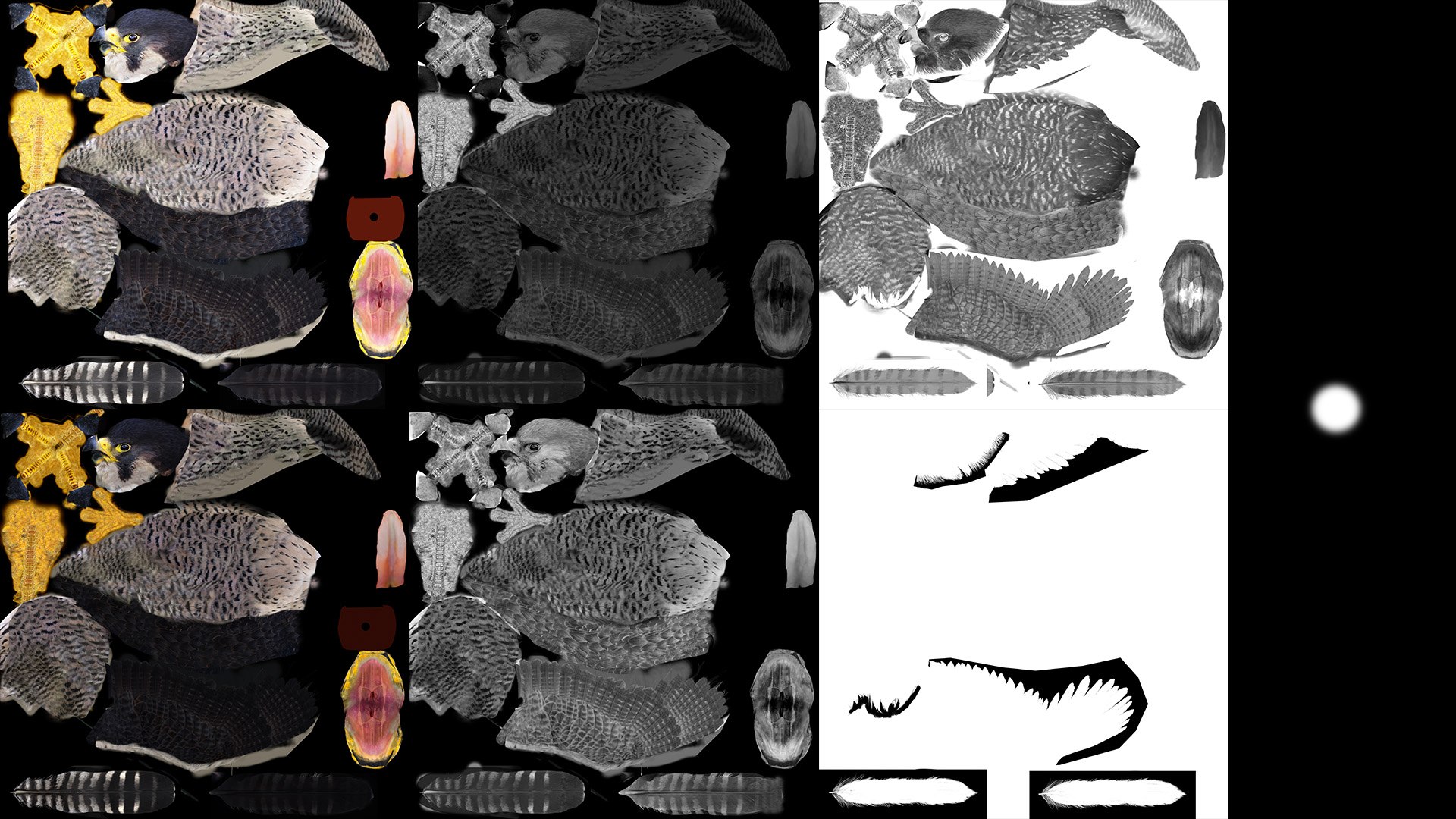 Falcon Animated 3D model https://p.turbosquid.com/ts-thumb/oH/blYS13/yR/falcon_10b/jpg/1789378232/1920x1080/fit_q87/720e9f738fc6ba34018a4ab88b2a928cbd80af96/falcon_10b.jpg