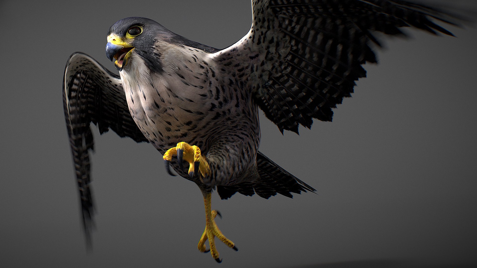 Falcon Animated 3D model https://p.turbosquid.com/ts-thumb/oH/blYS13/zg/falcon_20/jpg/1789377763/1920x1080/fit_q87/c34ed0b18a791ef01b0d095ed747c2575b361bef/falcon_20.jpg