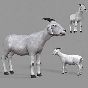 3D pbr goat