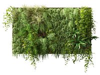 Vertical Garden -  Tropical Cascading Green Wall