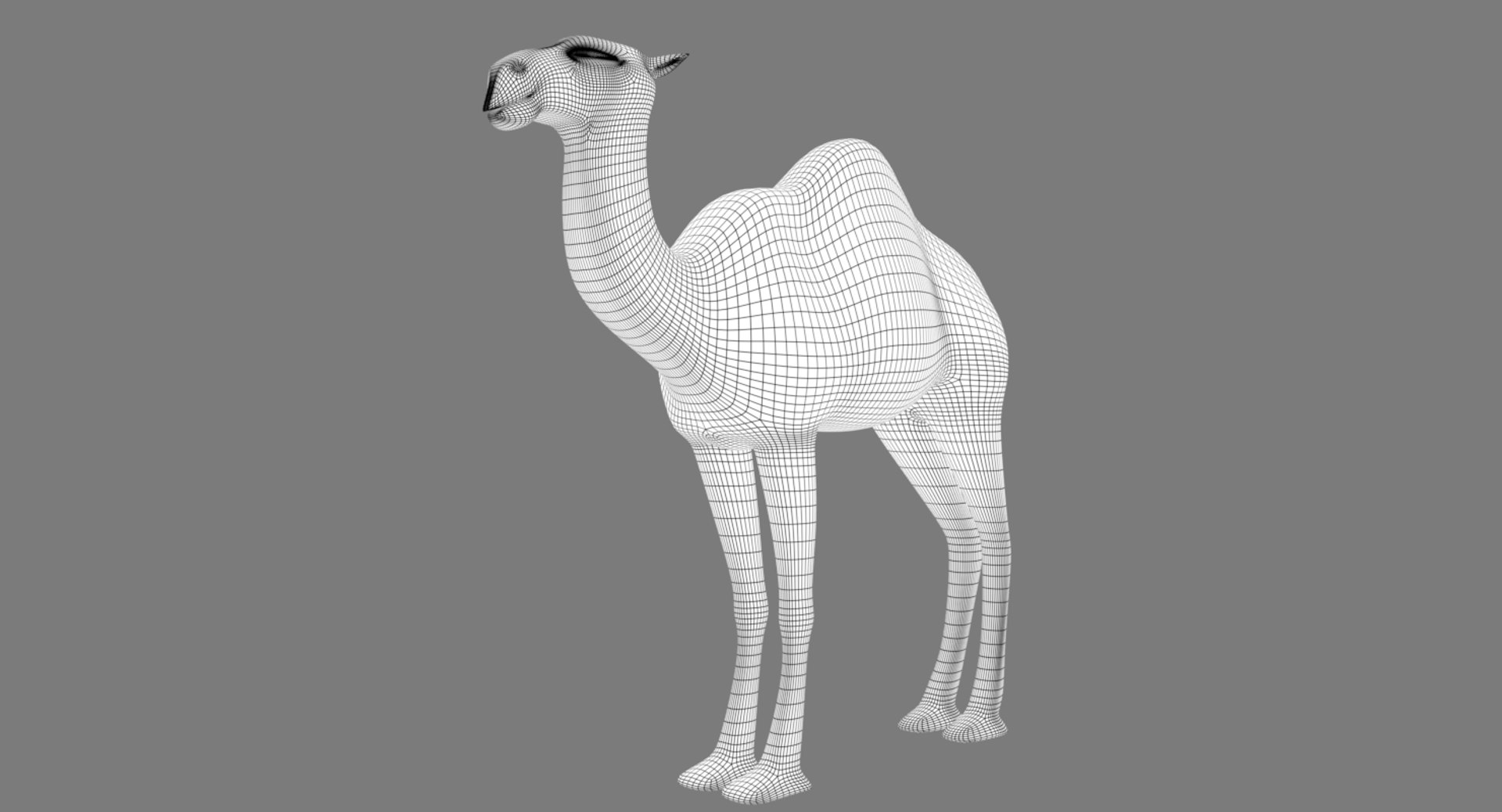 camel ma https://p.turbosquid.com/ts-thumb/oH/g3gfYT/dXQNZfaL/image05/jpg/1484046485/1920x1080/fit_q87/95163ccb64767b76ccb686224d752f540db2c9d4/image05.jpg