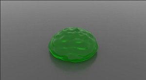 3D rigged macrophage model