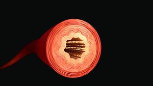 blood vessel structure obj