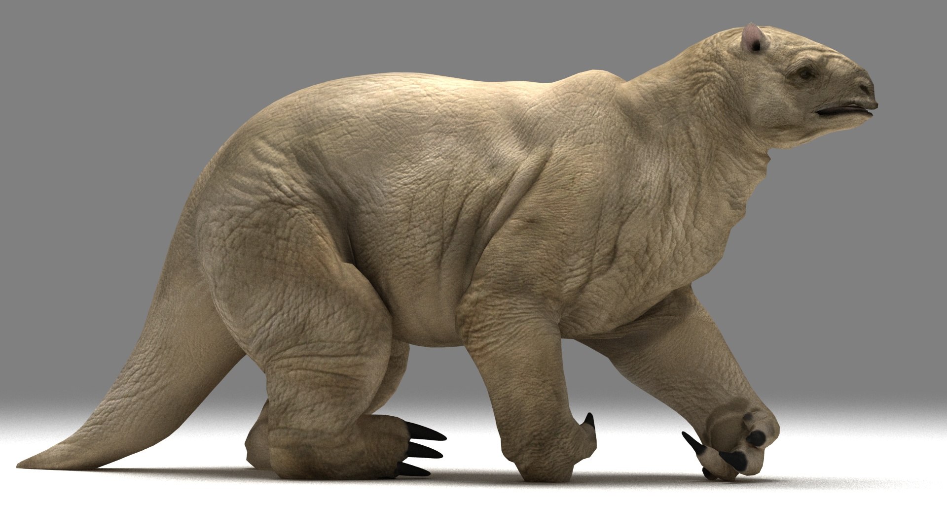megaterio extinct ice model https://p.turbosquid.com/ts-thumb/oI/56N4A6/U3voW1tT/2_a/jpg/1528691716/1920x1080/fit_q87/4ed448ae80b31d3d4a39614553272fc96bfc0cfd/2_a.jpg