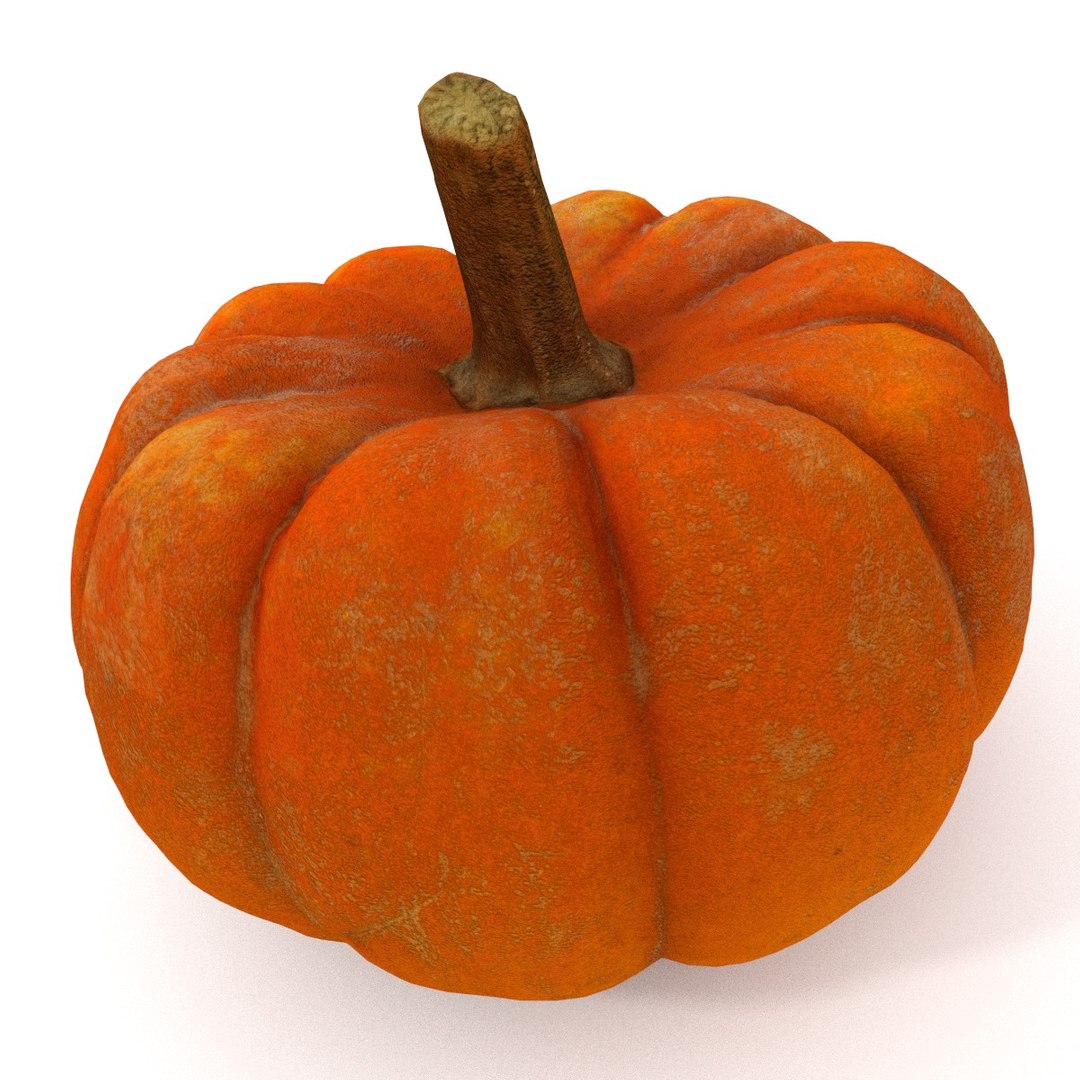 Pumpkin model - TurboSquid 1331457