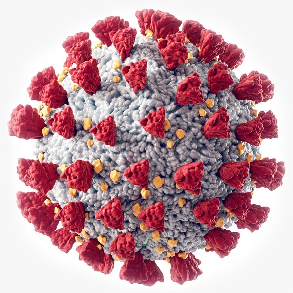 Coronavirus coron virus 3D model - TurboSquid 1524121