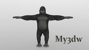 gorilla