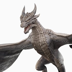 Black Dragon Wyvern Animated