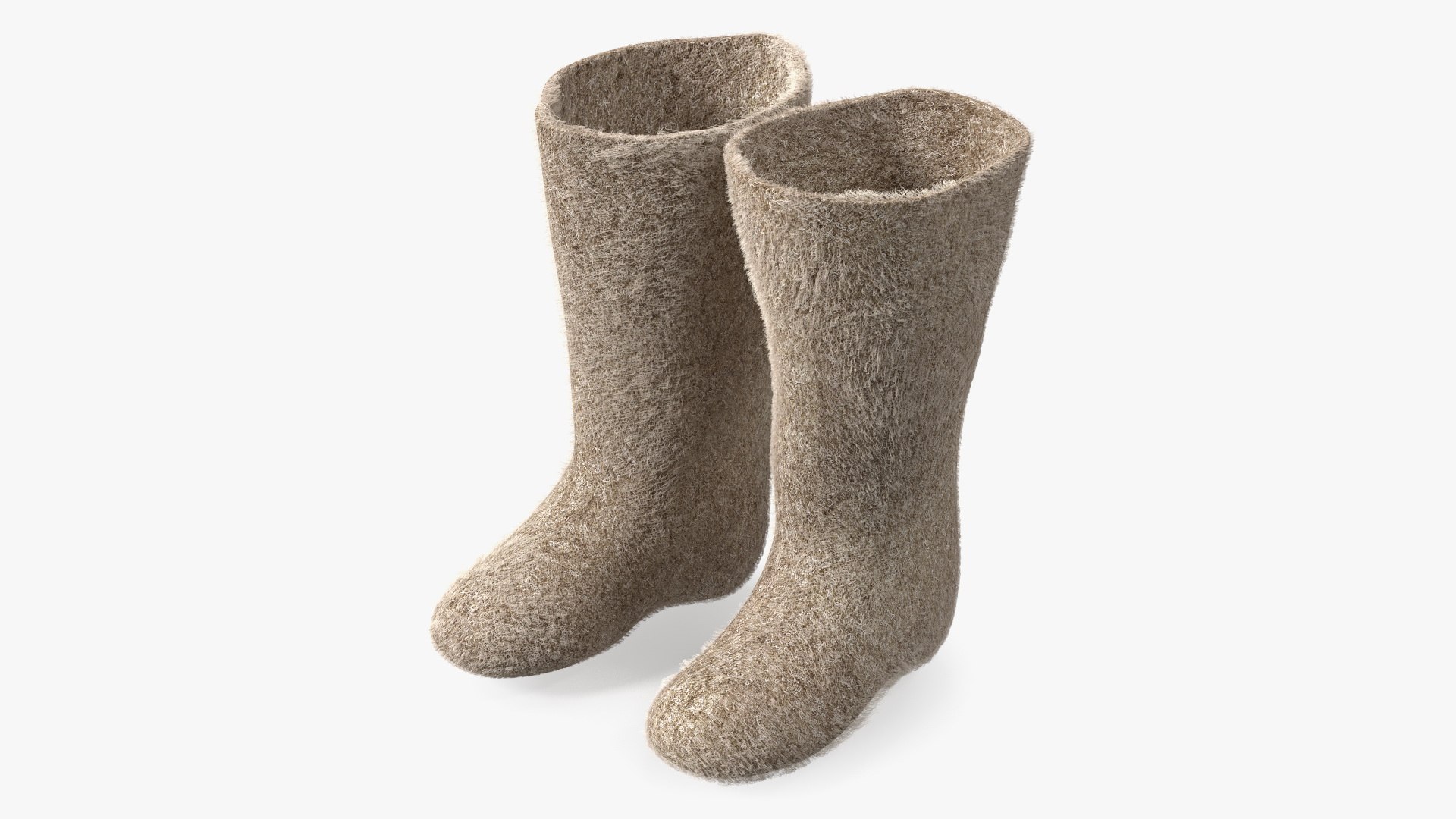 Traditional Winter Felt Boots Fur 3D model preview