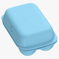 Foam Carton of Eggs 6 with Color Variations Blank and Generic Label