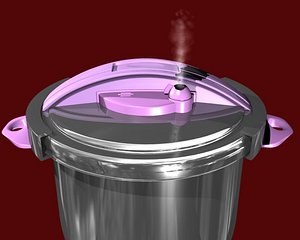pressure cooker max