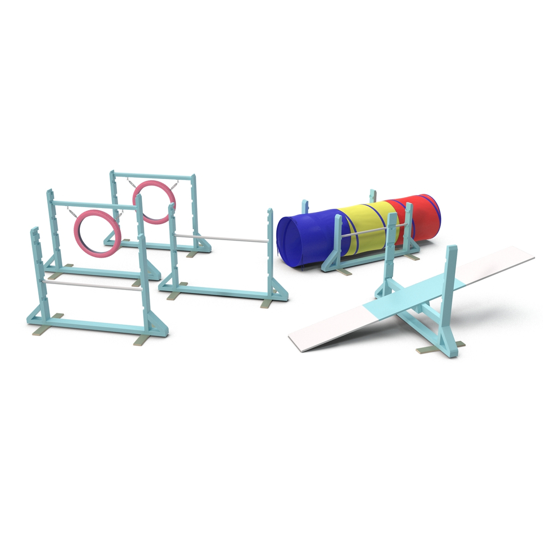Dog Agility Equipment 3d Model