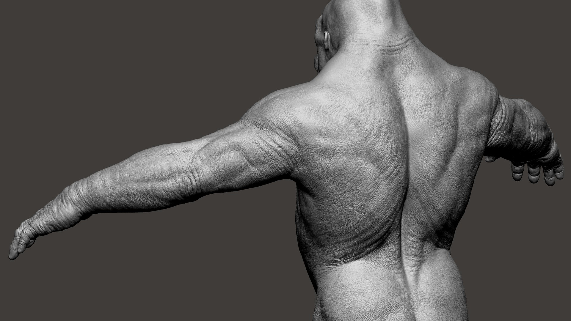 3D Gorilla Ultimate VFX Zbrush Sculpture digitale model https://p.turbosquid.com/ts-thumb/oI/zjPkEW/0S/62/jpg/1636555456/1920x1080/fit_q87/1abe7bd2910f804aa024443c0df249f850f8574c/62.jpg
