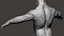 Gorilla Ultimate VFX Zbrush Sculpture digitale