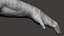 Gorilla Ultimate VFX Zbrush Sculpture digitale