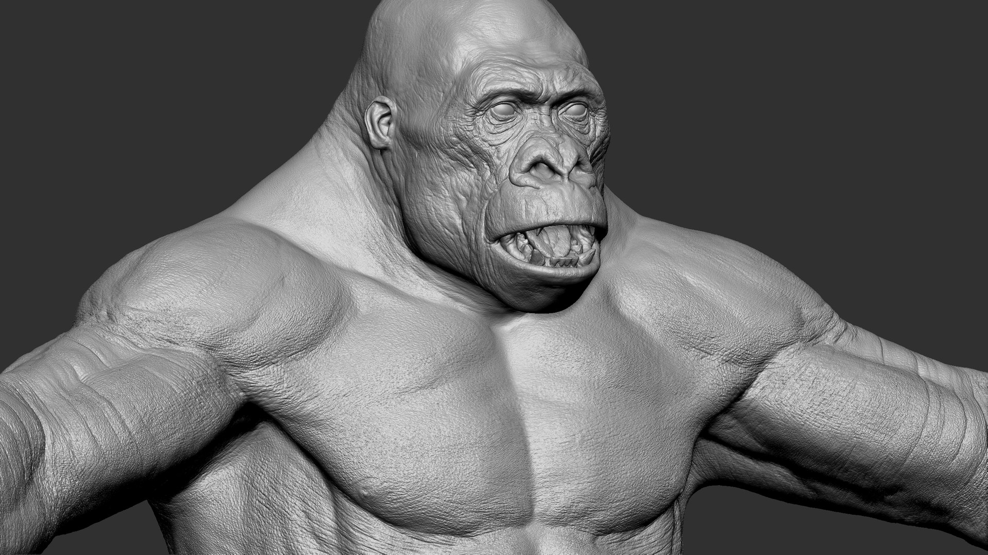 3D Gorilla Ultimate VFX Zbrush Sculpture digitale model https://p.turbosquid.com/ts-thumb/oI/zjPkEW/3l/s19/jpg/1663818543/1920x1080/fit_q87/82a543d22bf5f20a0cca18de33a7edc0ea4693cd/s19.jpg