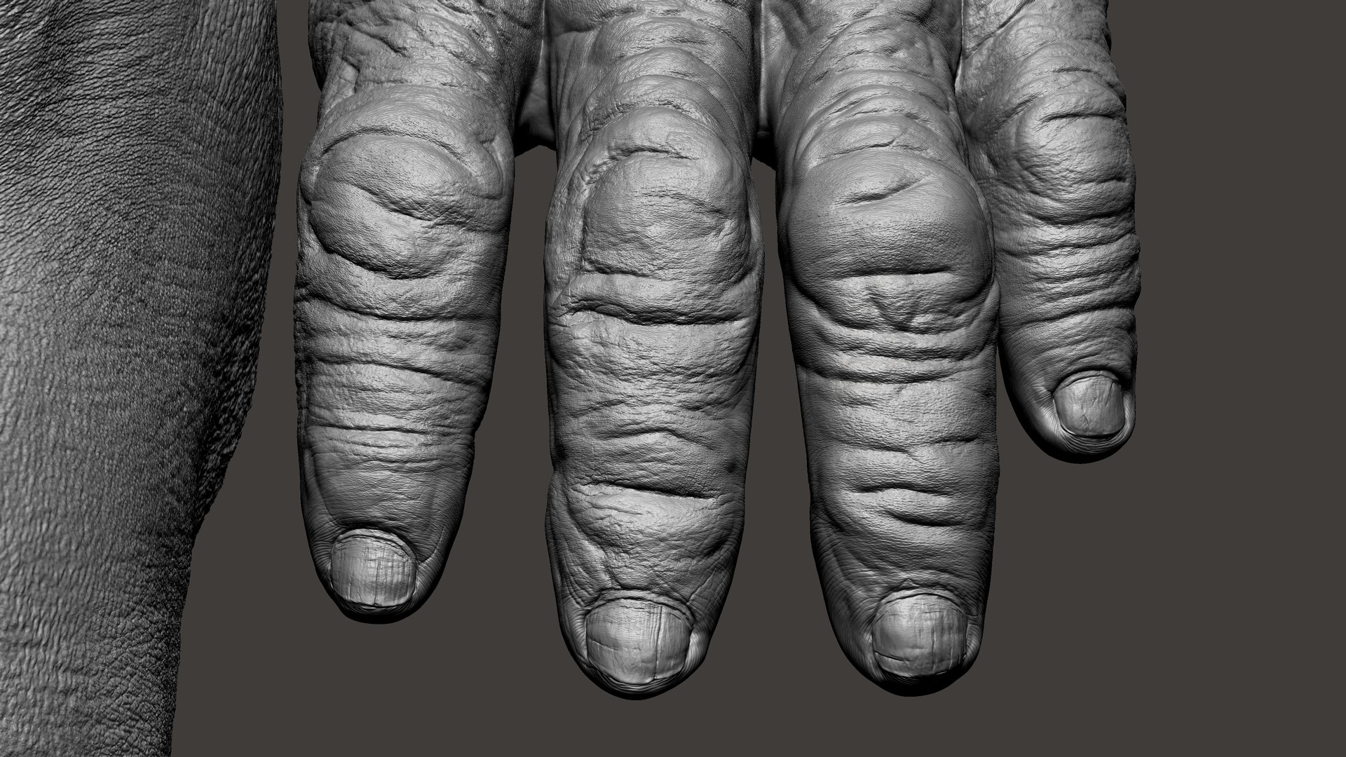 3D Gorilla Ultimate VFX Zbrush Sculpture digitale model https://p.turbosquid.com/ts-thumb/oI/zjPkEW/3n/7/jpg/1636555274/1920x1080/fit_q87/92d1f7014ed06f9ad3ca4d3e30d6a809c71770e6/7.jpg