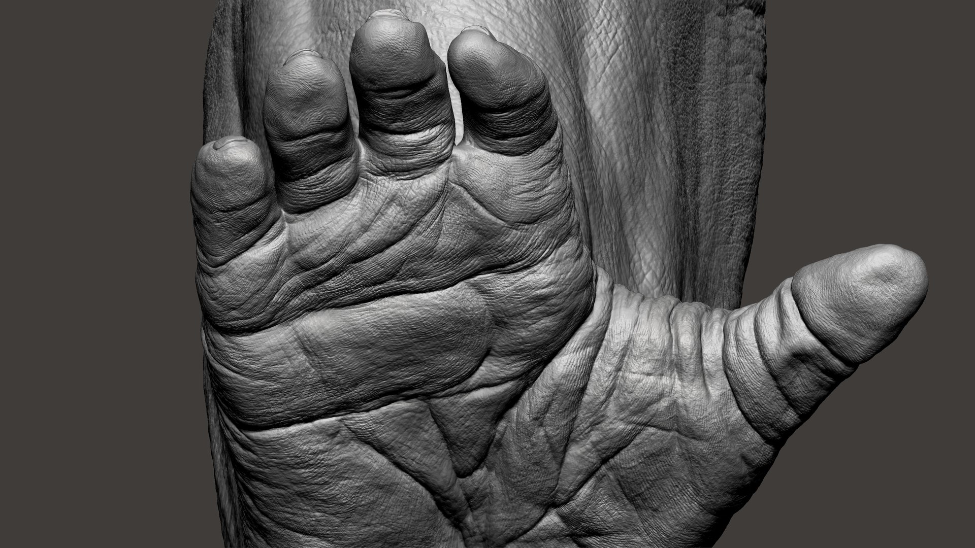 3D Gorilla Ultimate VFX Zbrush Sculpture digitale model https://p.turbosquid.com/ts-thumb/oI/zjPkEW/5v/48/jpg/1636555472/1920x1080/fit_q87/d320c8ddb8f2a5b53e3b99a11d29fda57c87f013/48.jpg