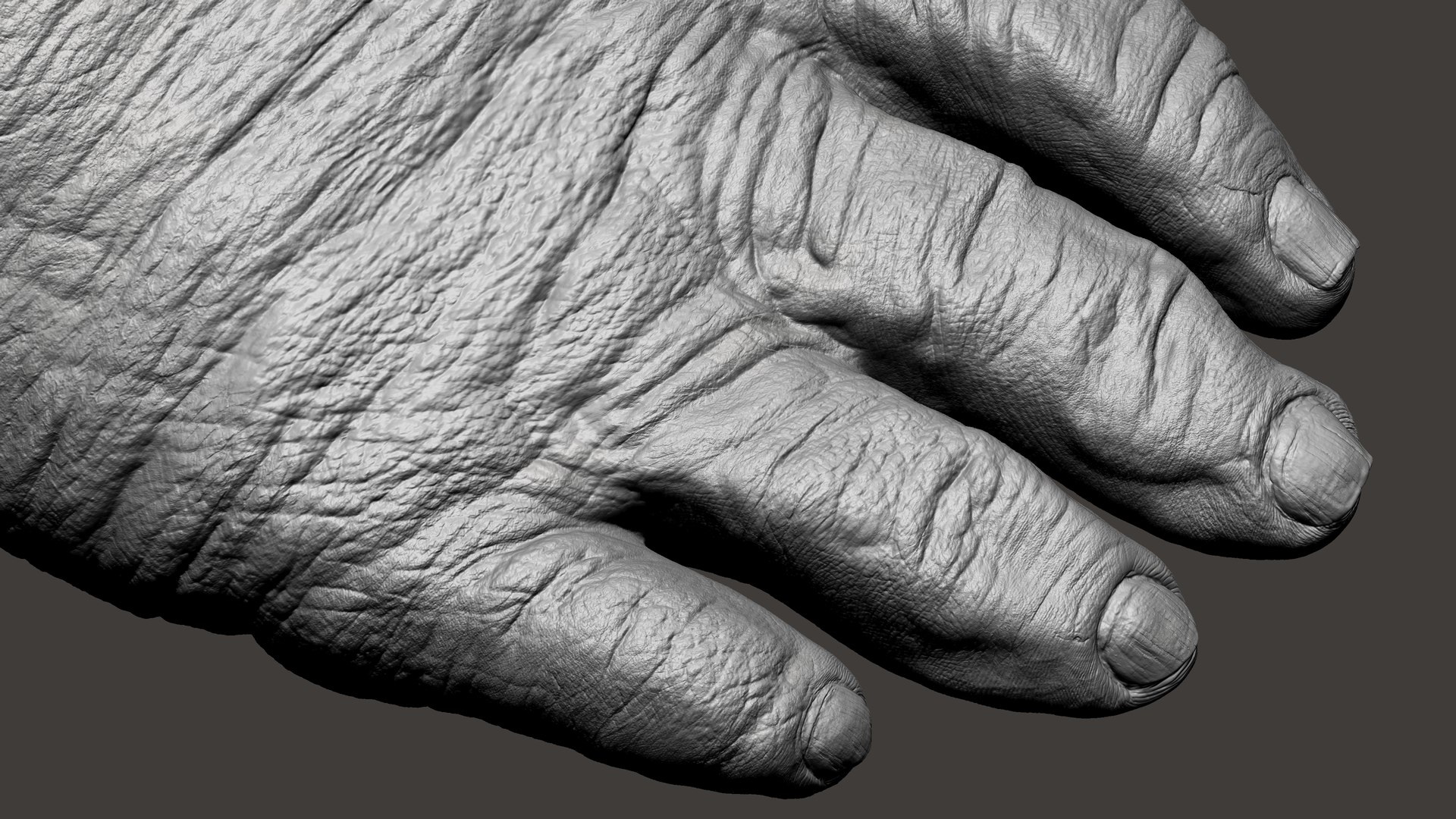 3D Gorilla Ultimate VFX Zbrush Sculpture digitale model https://p.turbosquid.com/ts-thumb/oI/zjPkEW/6Z/54/jpg/1636555478/1920x1080/fit_q87/456239ffd065db849cbaf855ab54def2ee18a620/54.jpg