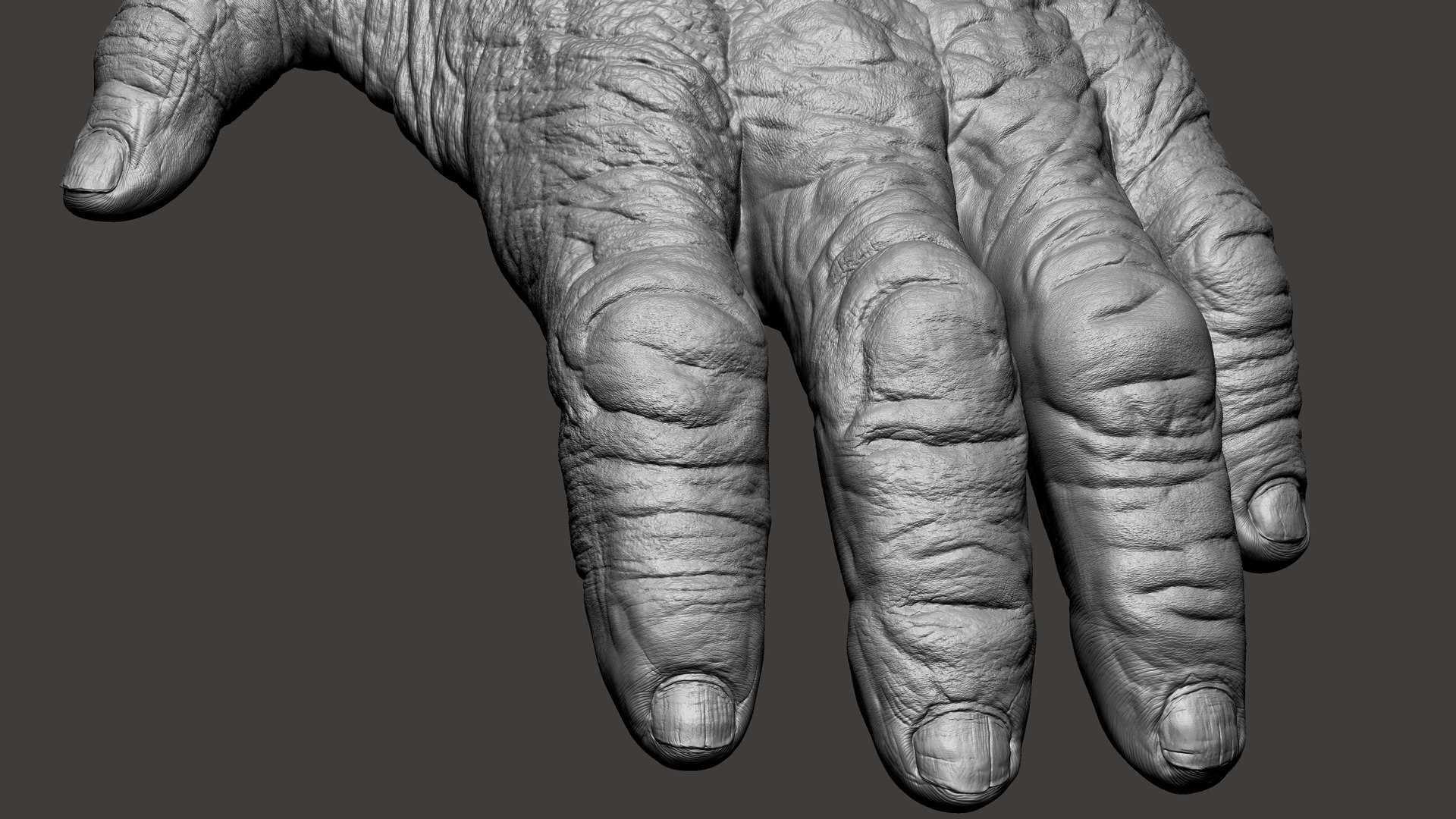 3D Gorilla Ultimate VFX Zbrush Sculpture digitale model https://p.turbosquid.com/ts-thumb/oI/zjPkEW/7H/6/jpg/1636555260/1920x1080/fit_q87/b893072a67858b6ed65863dab62d9b93ee7d415a/6.jpg