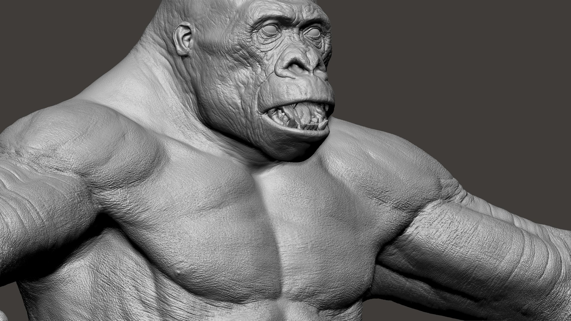 3D Gorilla Ultimate VFX Zbrush Sculpture digitale model https://p.turbosquid.com/ts-thumb/oI/zjPkEW/7U/s27/jpg/1663818550/1920x1080/fit_q87/605b60c967454302efd7744ef367c3abd176a515/s27.jpg