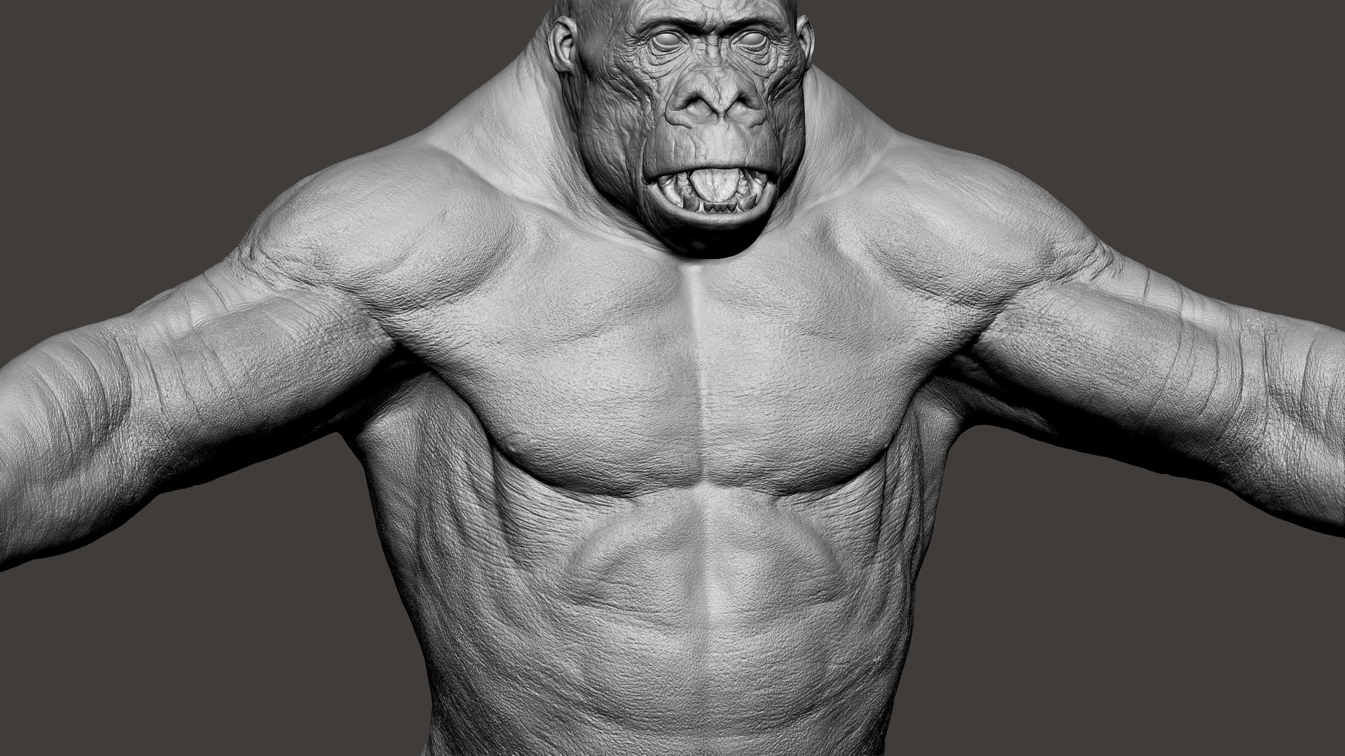 3D Gorilla Ultimate VFX Zbrush Sculpture digitale model https://p.turbosquid.com/ts-thumb/oI/zjPkEW/7Z/5/jpg/1636555273/1920x1080/fit_q87/fc51c7b8473792aeca75458e94b7bff778c73810/5.jpg
