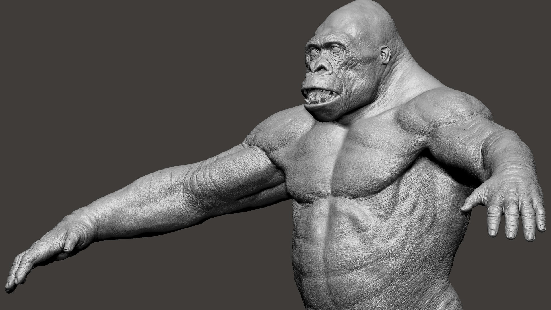 3D Gorilla Ultimate VFX Zbrush Sculpture digitale model https://p.turbosquid.com/ts-thumb/oI/zjPkEW/9W/s34/jpg/1663818551/1920x1080/fit_q87/d72930f94eddd216432c7a1a0e2371bdbc258885/s34.jpg