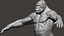 Gorilla Ultimate VFX Zbrush Sculpture digitale