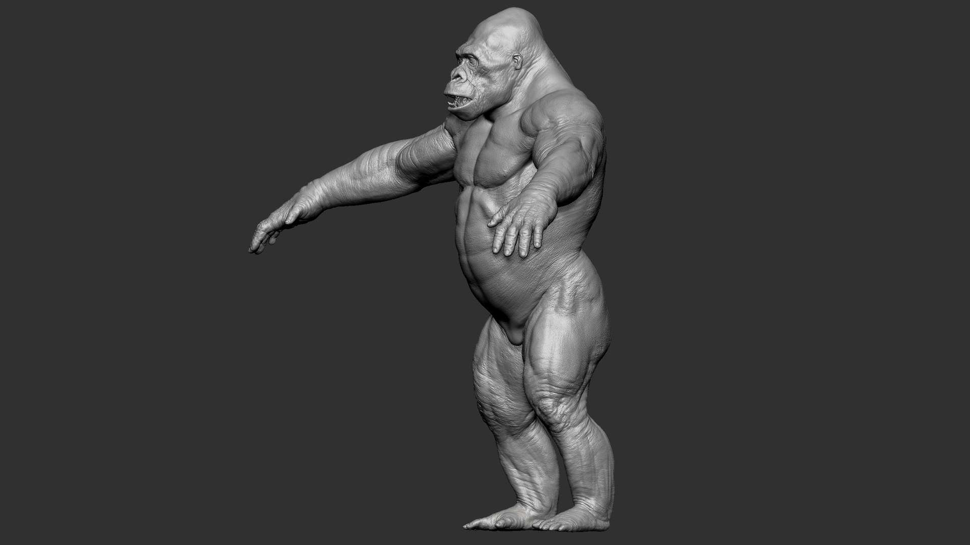 3D Gorilla Ultimate VFX Zbrush Sculpture digitale model https://p.turbosquid.com/ts-thumb/oI/zjPkEW/A9/s4/jpg/1663818374/1920x1080/fit_q87/2155a71b5ab2ae01c792a75679169f5600b455e0/s4.jpg