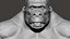 Gorilla Ultimate VFX Zbrush Sculpture digitale