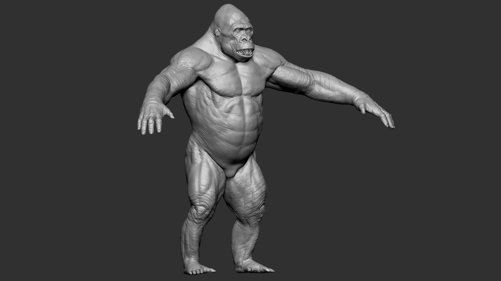 3D Gorilla Ultimate VFX Zbrush Sculpture digitale model https://p.turbosquid.com/ts-thumb/oI/zjPkEW/HG/s8/jpg/1663818376/1920x1080/fit_q87/1e67823887fbedb8f984d90ab9221ba98a667ec0/s8.jpg