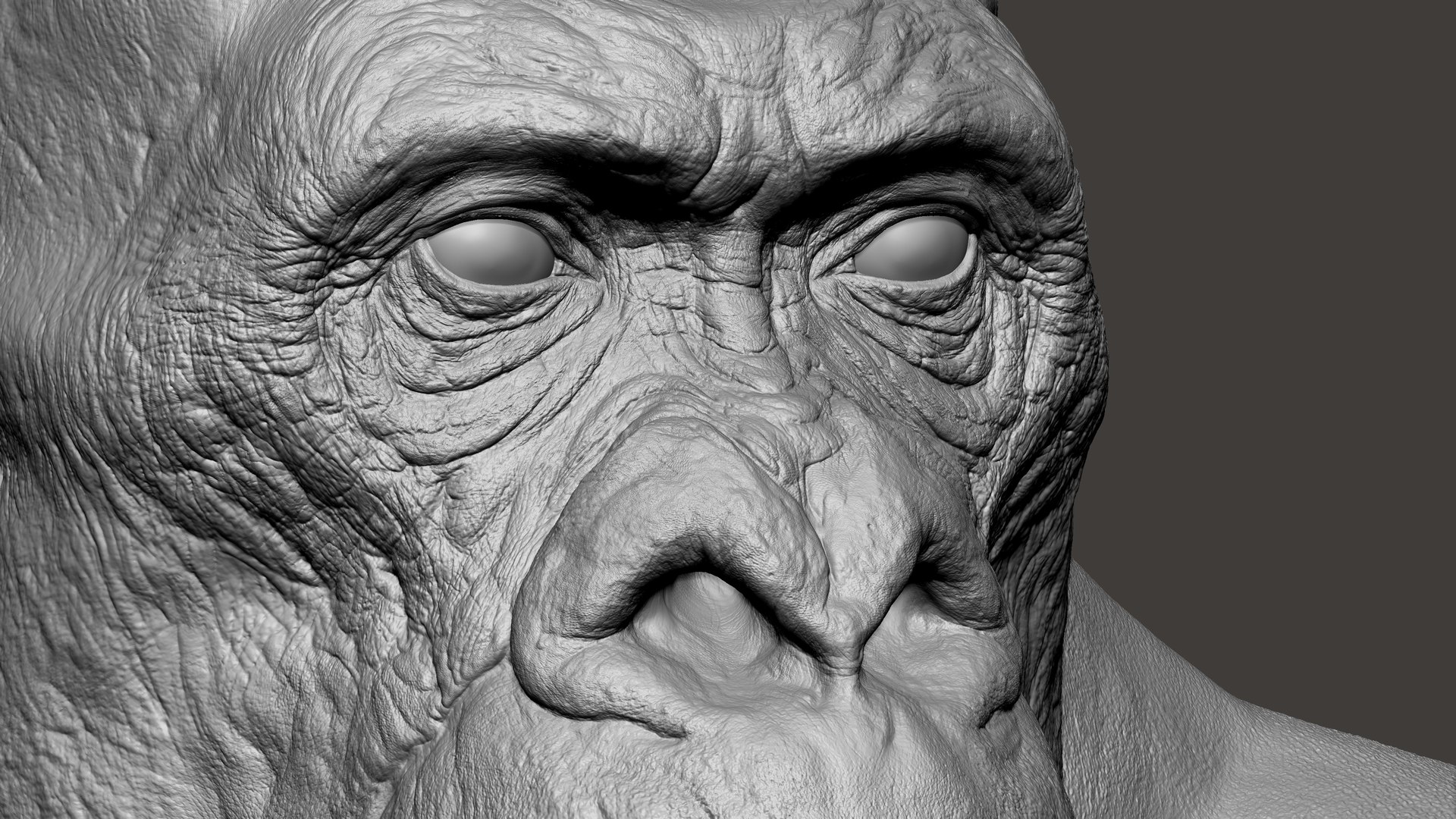 3D Gorilla Ultimate VFX Zbrush Sculpture digitale model https://p.turbosquid.com/ts-thumb/oI/zjPkEW/I7/31/jpg/1636555385/1920x1080/fit_q87/2e992aa915637e2350f8d6e37ae011f02c951058/31.jpg