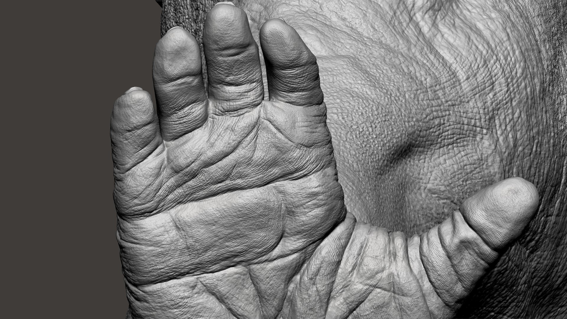 3D Gorilla Ultimate VFX Zbrush Sculpture digitale model https://p.turbosquid.com/ts-thumb/oI/zjPkEW/Ny/49/jpg/1636555478/1920x1080/fit_q87/d06768c9ba2c9660508777ed478dc3a96dbef19a/49.jpg