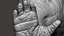 Gorilla Ultimate VFX Zbrush Sculpture digitale