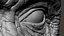 Gorilla Ultimate VFX Zbrush Sculpture digitale