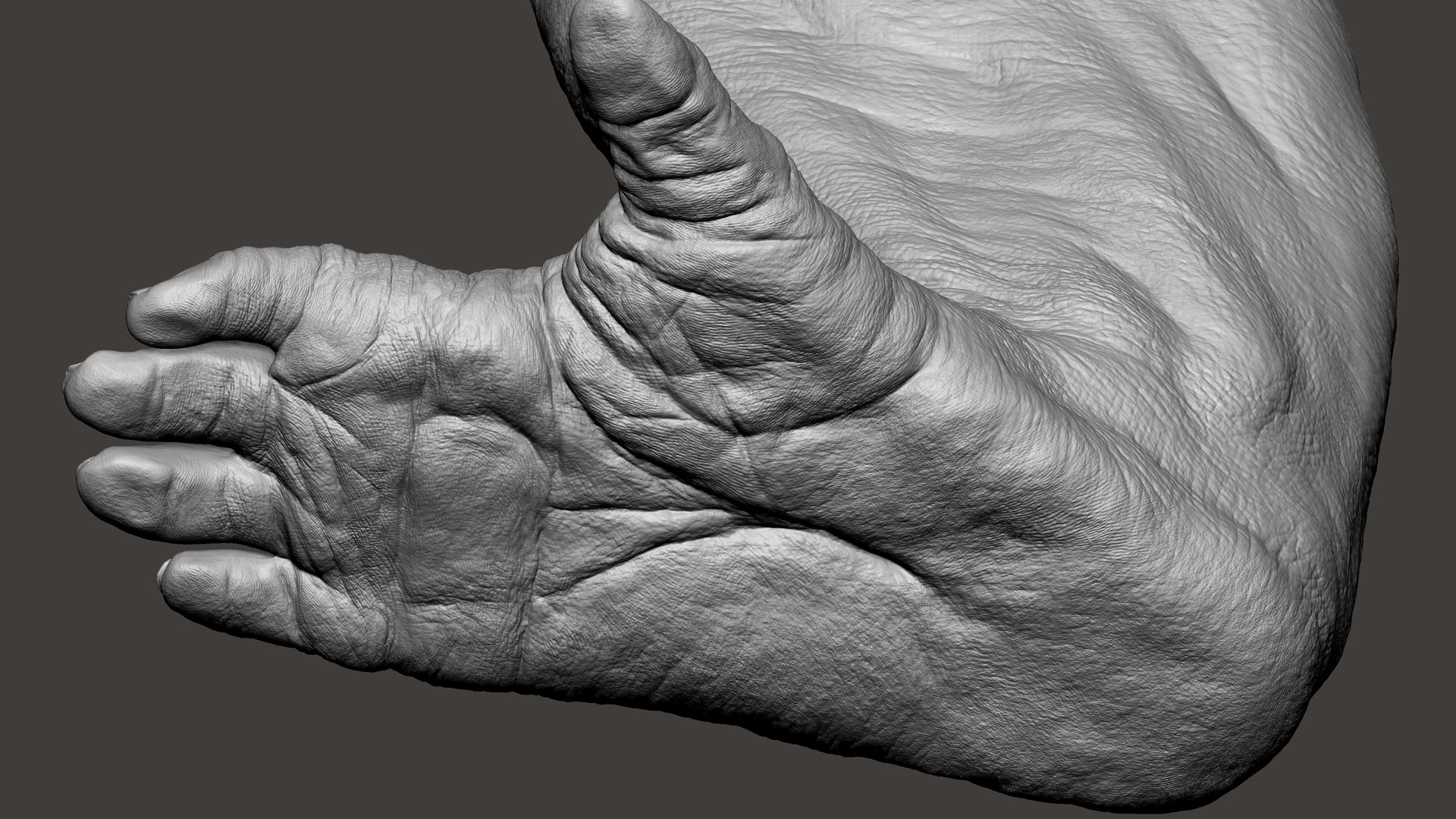3D Gorilla Ultimate VFX Zbrush Sculpture digitale model https://p.turbosquid.com/ts-thumb/oI/zjPkEW/WP/50/jpg/1636555473/1920x1080/fit_q87/c259d7f0345afe5d624d60a76fe1ce3869f1517d/50.jpg