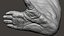 Gorilla Ultimate VFX Zbrush Sculpture digitale