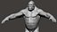 Gorilla Ultimate VFX Zbrush Sculpture digitale