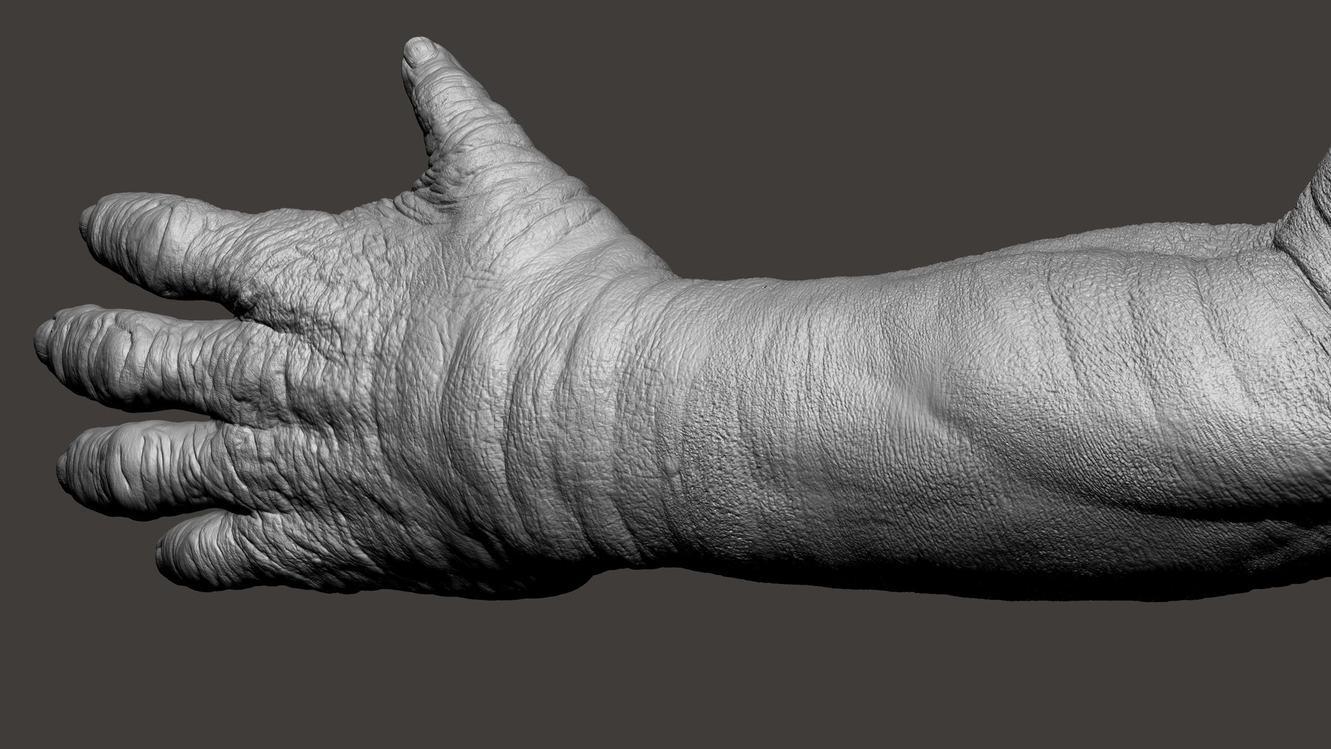 3D Gorilla Ultimate VFX Zbrush Sculpture digitale model https://p.turbosquid.com/ts-thumb/oI/zjPkEW/Zy/22/jpg/1636555370/1920x1080/fit_q87/82289c55f3ce432cc091bd78a869d17a5cb8f278/22.jpg