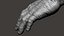 Gorilla Ultimate VFX Zbrush Sculpture digitale