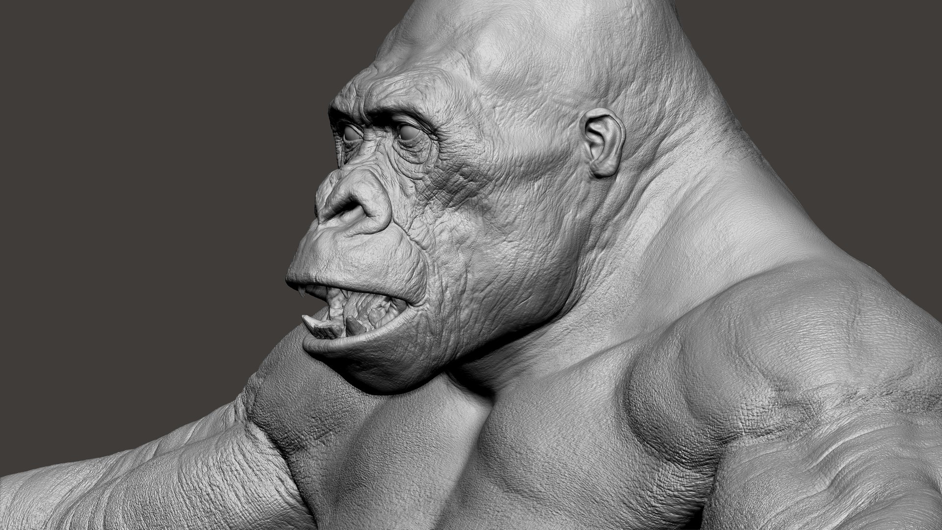 3D Gorilla Ultimate VFX Zbrush Sculpture digitale model https://p.turbosquid.com/ts-thumb/oI/zjPkEW/aQ/66/jpg/1636555474/1920x1080/fit_q87/13f261904f4b9c26ce52ba6f262af604c6e63dfc/66.jpg