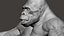 Gorilla Ultimate VFX Zbrush Sculpture digitale