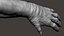 Gorilla Ultimate VFX Zbrush Sculpture digitale