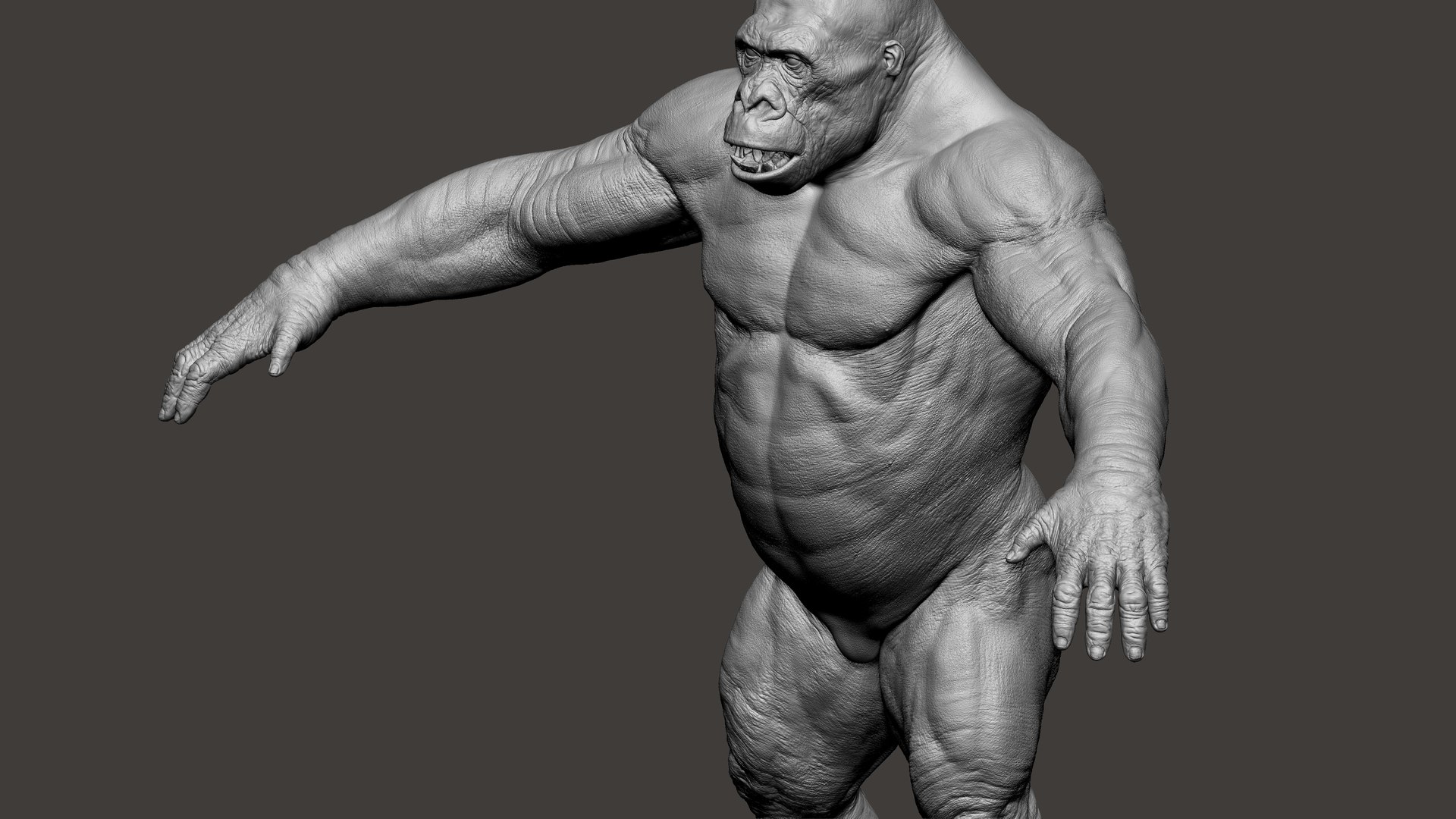 3D Gorilla Ultimate VFX Zbrush Sculpture digitale model https://p.turbosquid.com/ts-thumb/oI/zjPkEW/hU/59/jpg/1636555452/1920x1080/fit_q87/32ce2fbc2dbc32947cdb5f6135de3a72f16db3d0/59.jpg