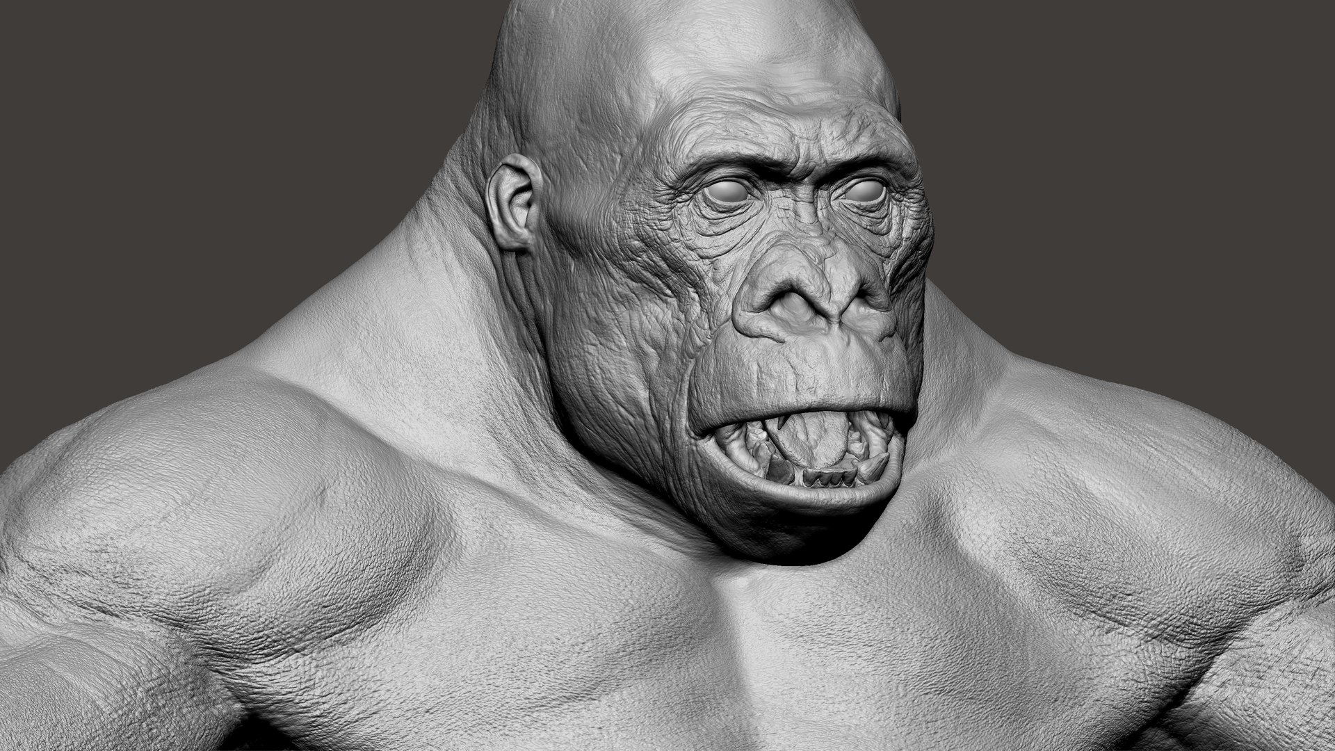 3D Gorilla Ultimate VFX Zbrush Sculpture digitale model https://p.turbosquid.com/ts-thumb/oI/zjPkEW/iQ/65/jpg/1636555479/1920x1080/fit_q87/4d332a40142eebfc1be40c824fbfd253d0f66d81/65.jpg