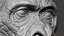 Gorilla Ultimate VFX Zbrush Sculpture digitale