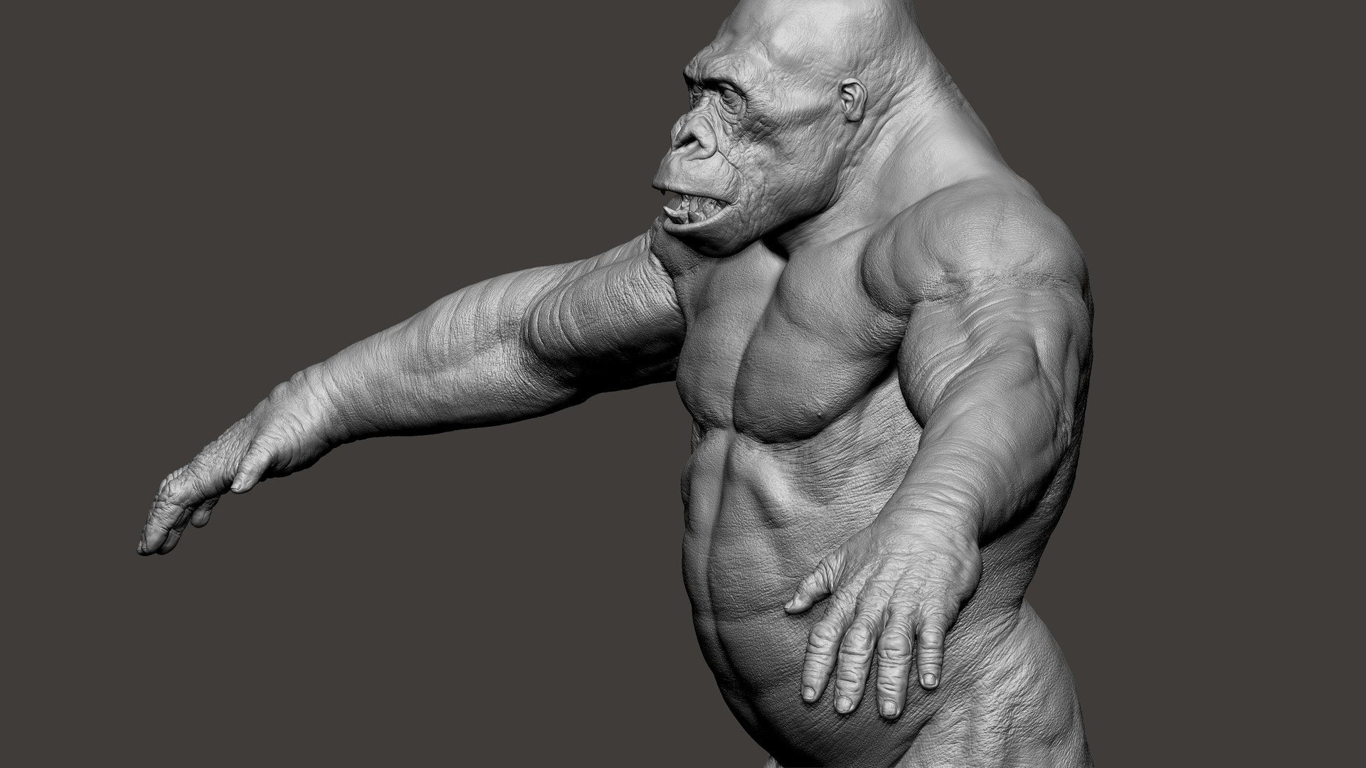 3D Gorilla Ultimate VFX Zbrush Sculpture digitale model https://p.turbosquid.com/ts-thumb/oI/zjPkEW/jQ/61/jpg/1636555452/1920x1080/fit_q87/7e37fd8578136923cfa58995c92b5f39bbb04dc7/61.jpg