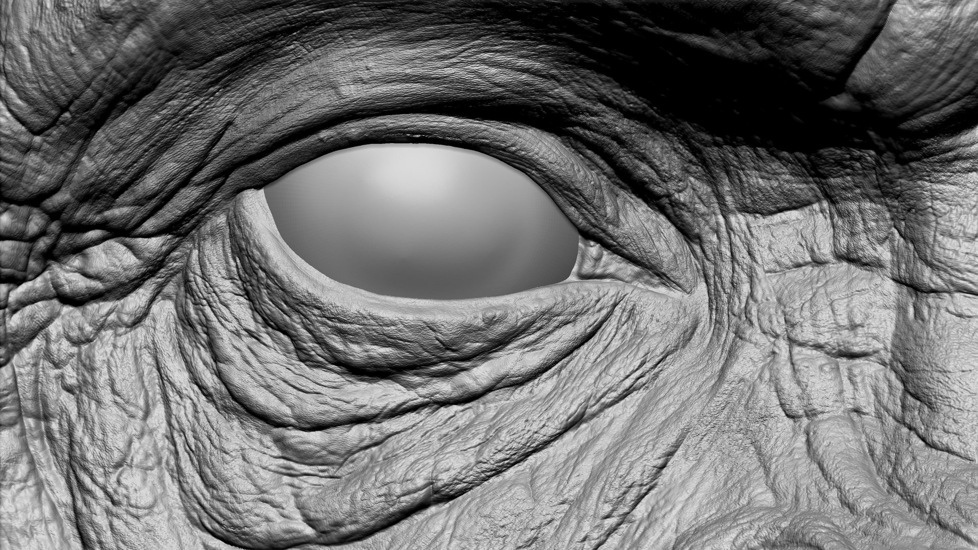 3D Gorilla Ultimate VFX Zbrush Sculpture digitale model https://p.turbosquid.com/ts-thumb/oI/zjPkEW/kV/35/jpg/1636555389/1920x1080/fit_q87/b412c14f0243b9e9d375c7b98dd3f3422f1f35d1/35.jpg
